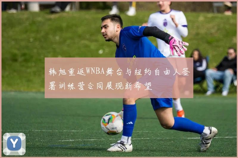 韩旭重返WNBA舞台与纽约自由人签署训练营合同展现新希望